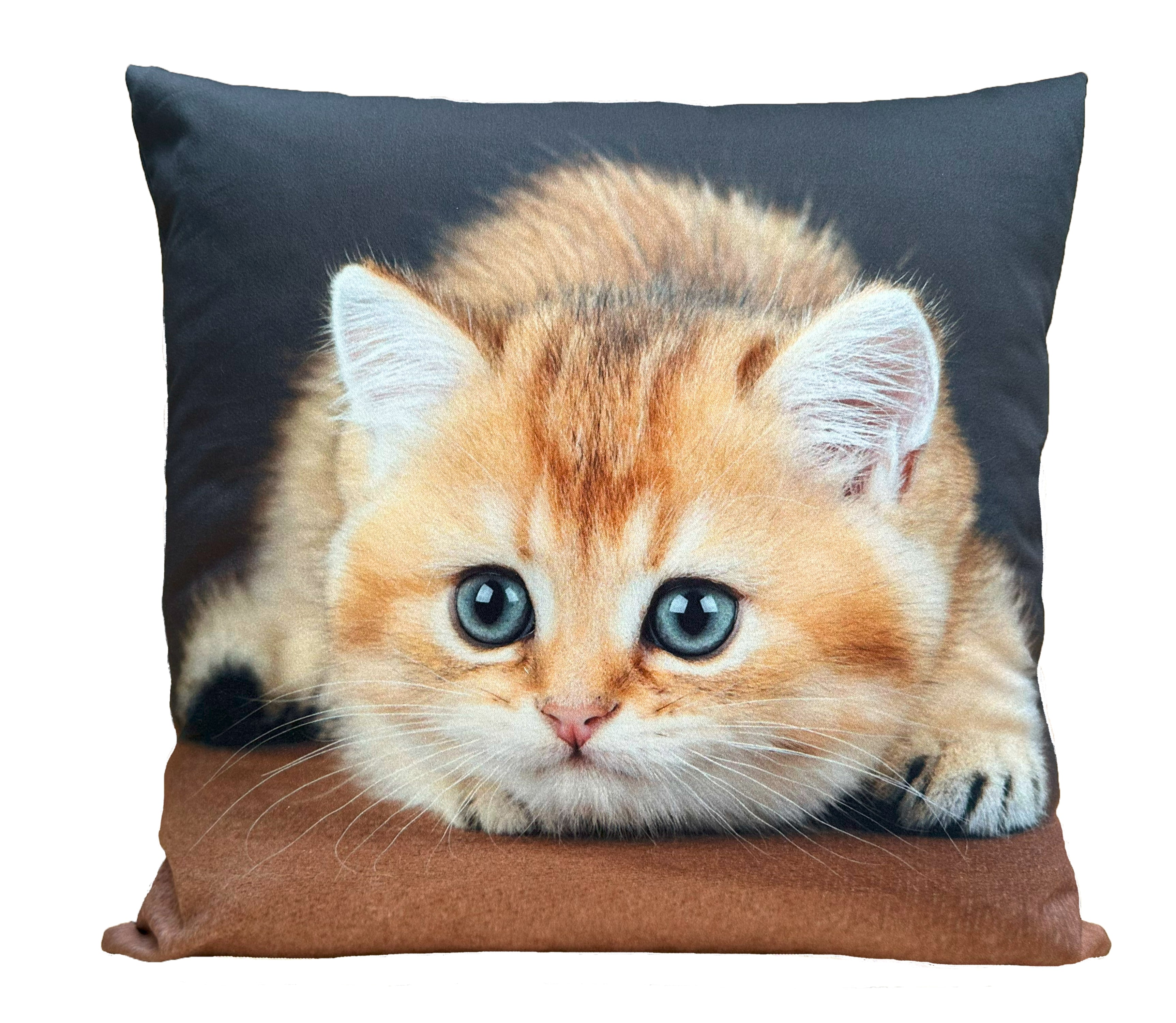 Almofada Estampada Gato 1
