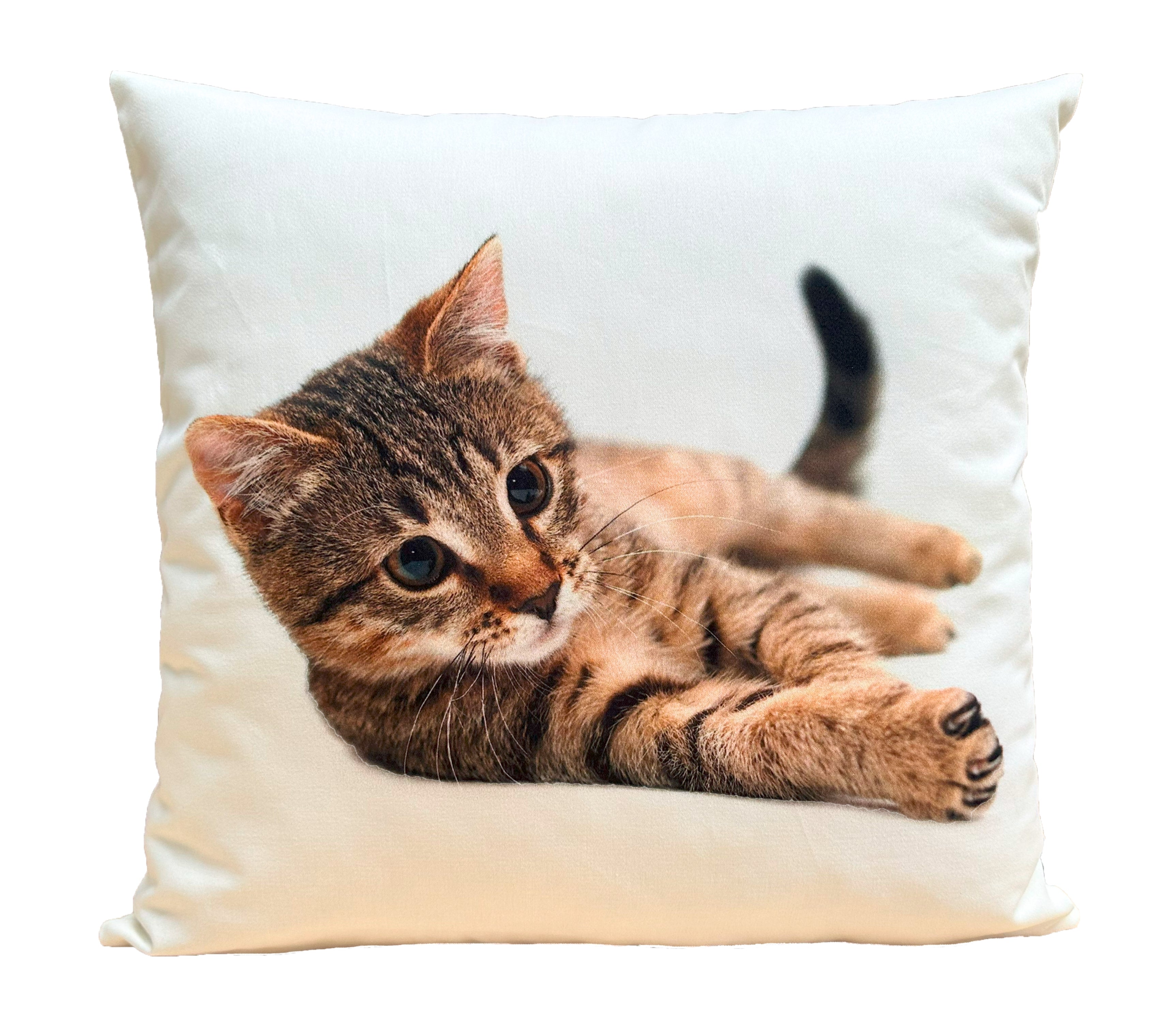 Almofada Estampada Gato 4